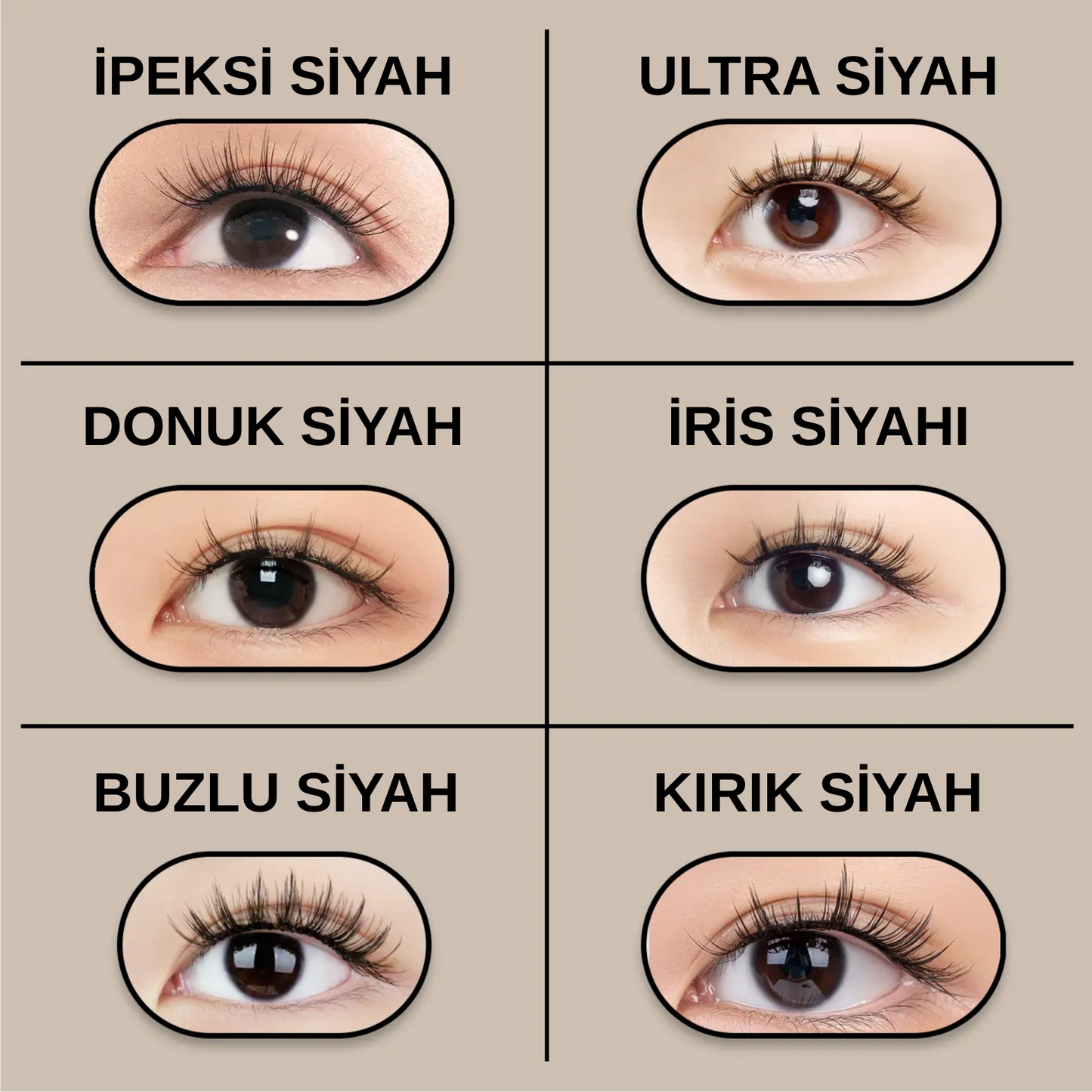 Maglash Manyetik Kirpik Kiti